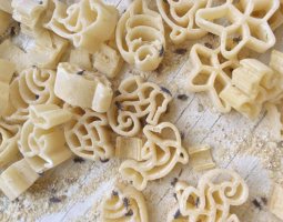 Почему в крупе появляются жучки, вредны ли они для здоровья, как от них избавиться и проводить профилактику