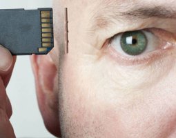 Какие витамины необходимы для улучшения работы мозга и памяти взрослым и детям