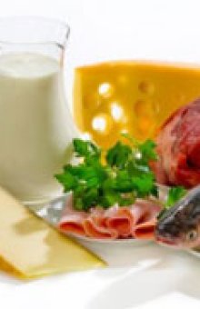 Что относится к белковой пище: список продуктов