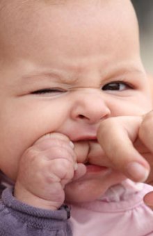 Консультация для родителей и советы доктора Комаровского о том, как отучить ребенка кусаться