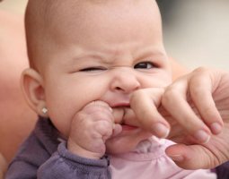 Консультация для родителей и советы доктора Комаровского о том, как отучить ребенка кусаться
