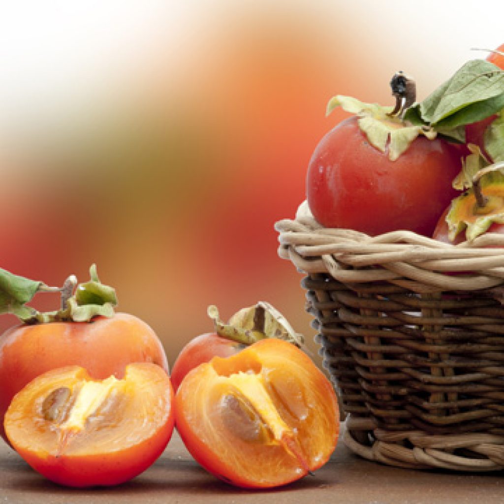 Хурма полезные свойства