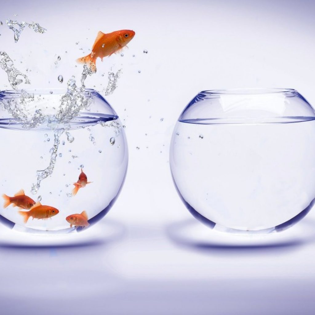 Что делать если муж пьет