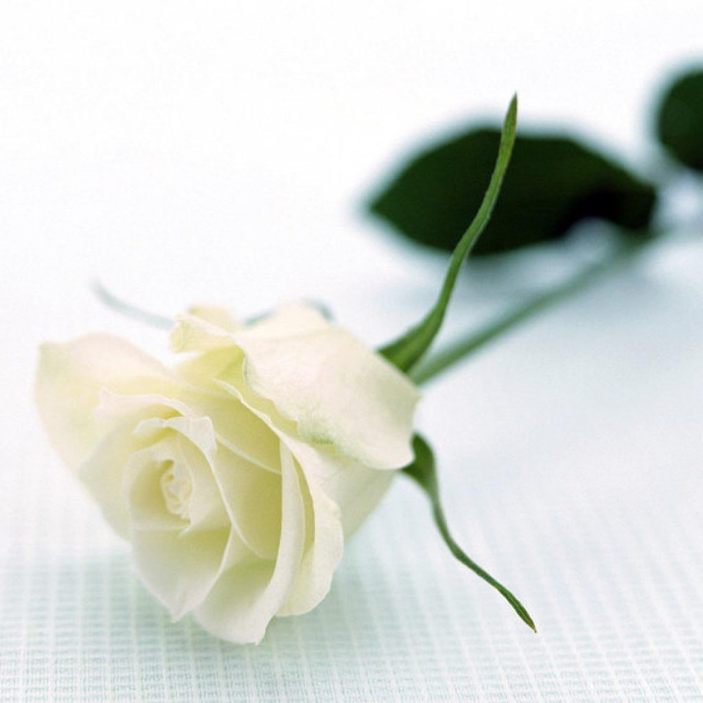 Как поздравить мужа с годовщиной свадьбы