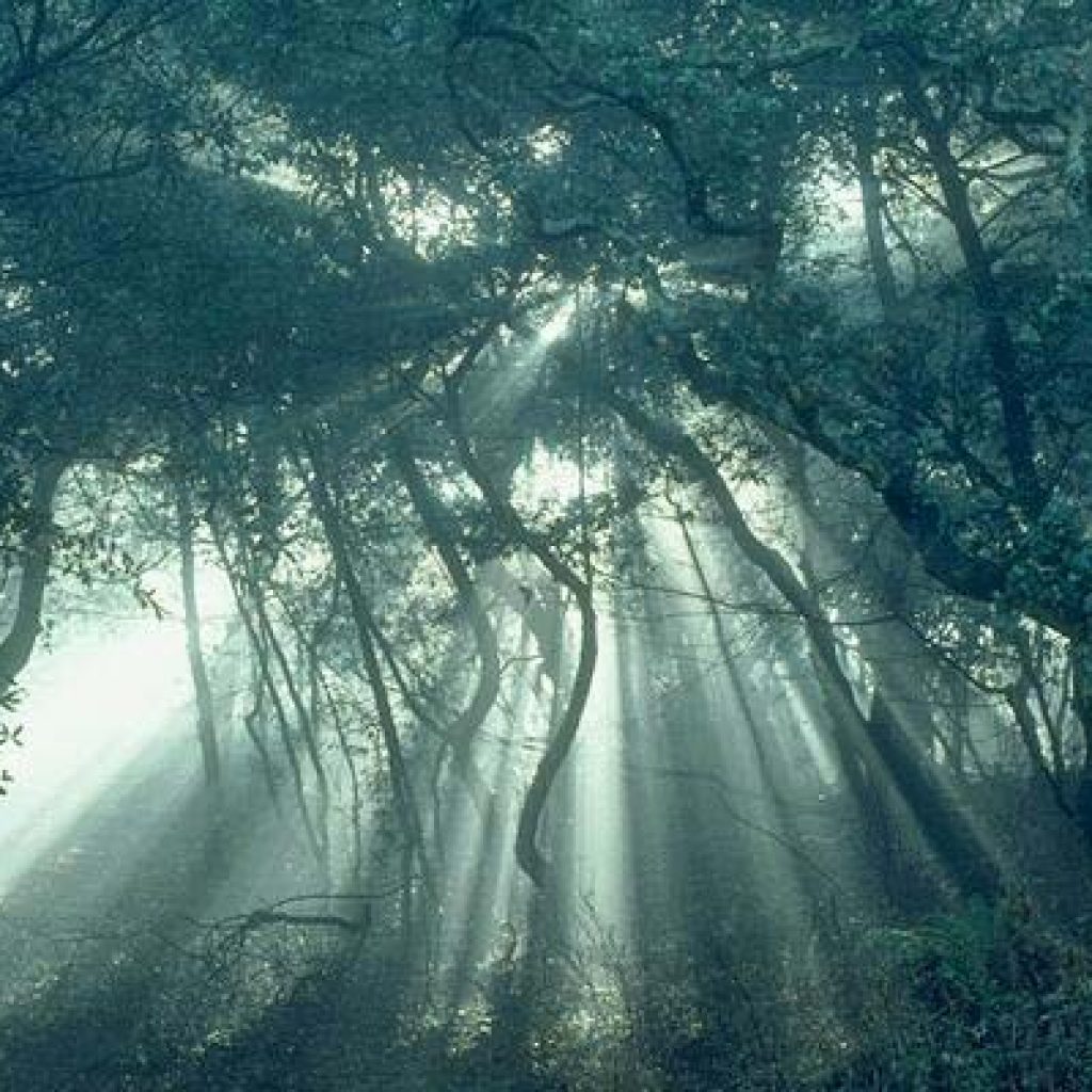 Имена мальчиков современные